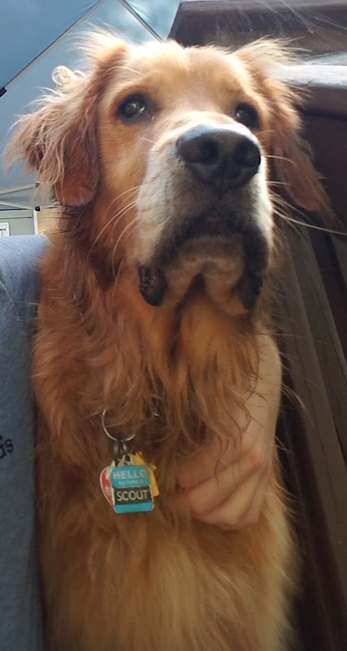 Scout holding a stick
